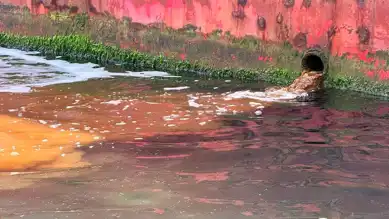Yalova Tersanesi'ne 3,7 Milyon TL Ceza